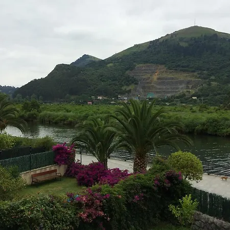 Socamino