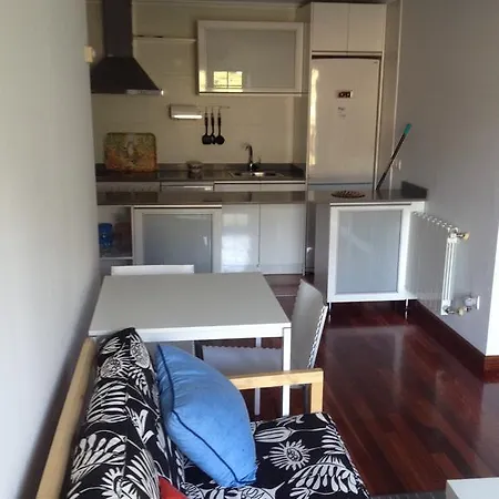 Apartment Socamino Limpias